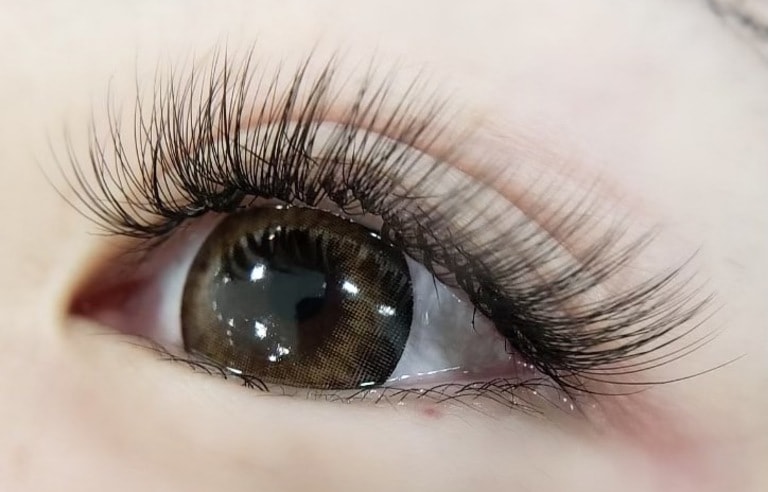 La Foxyのアイリストの求人 募集要項 Workcanvas