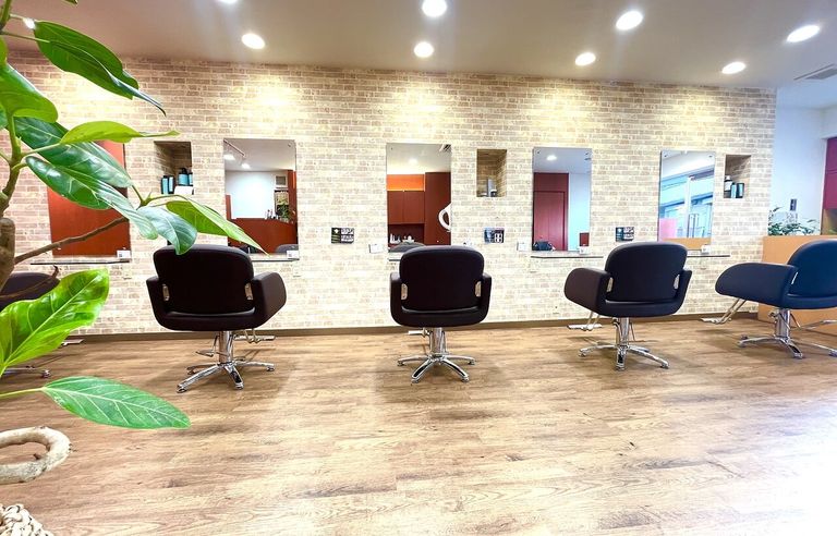 Lotus hairの写真 5