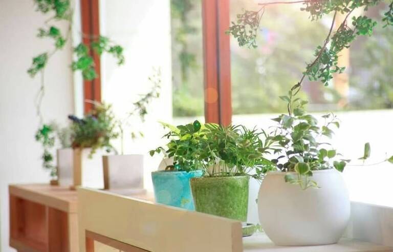 株式会社カノープスの求人 募集要項 武蔵溝ノ口駅 神奈川県 美容室 風通しの良いアットホームな職場 個々に合わせた教育を徹底 働きやすさが自慢のサロンです Workcanvas