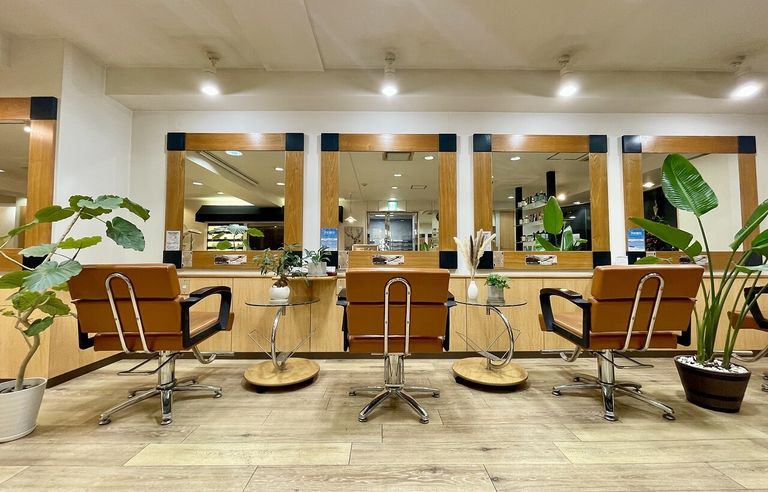 Lotus hairの写真 3