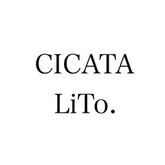 CICATAグループ