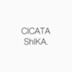 CICATAグループ